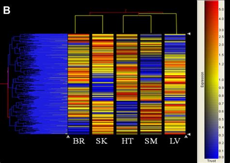 Dendrograms Generated From Hierarchical Clustering Analysis In A The