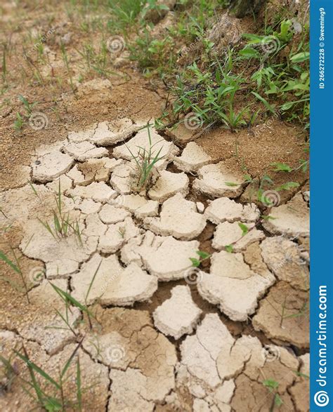 Dry Crack Earth At The Agriculture Land Due To Drought Stock Photo