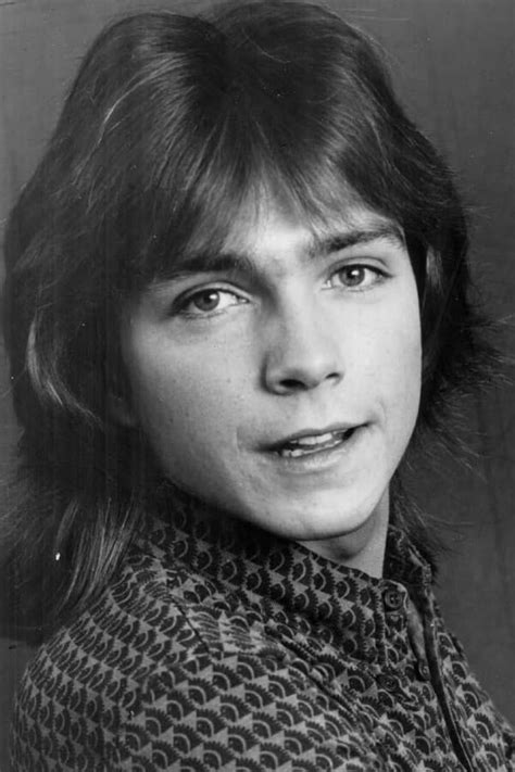 David Cassidy Profile Images — The Movie Database Tmdb