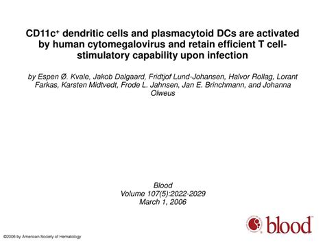 Cd11c Dendritic Cells And Plasmacytoid Dcs Are Activated By Human