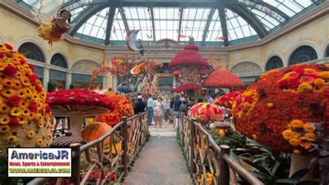 WATCH: Bellagio Conservatory’s 2023 Fall Harvest display (Las Vegas ...