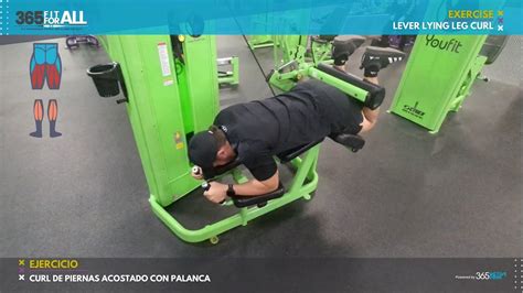 Lever Lying Leg Curl 365f4a Youtube