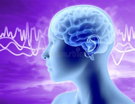 Brain Waves Stock Illustration Illustration Of Relax 16995439