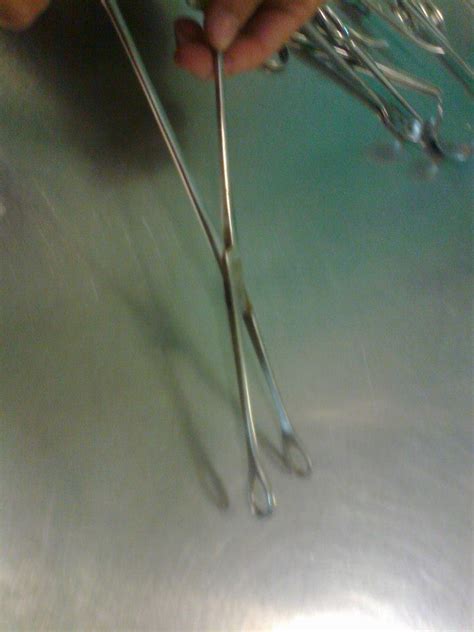 Rampley’s Sponge Holding Forceps | howMed Images