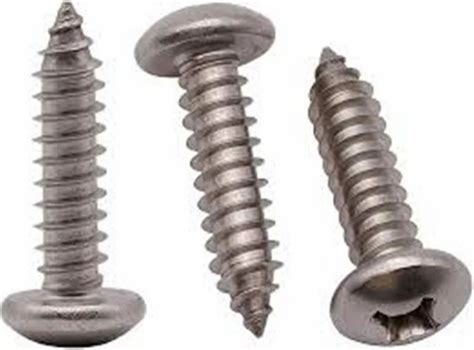 Stainless Steel Ss Philips Pan Head Self Tapping Screw Size St To