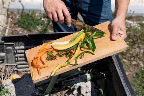 Cómo hacer un abono casero con ingredientes en tu cocina para cuidar y