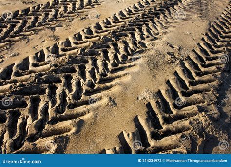 Tractor Tire Marks Over The Beach Sand In Mahabalipuram Tyre