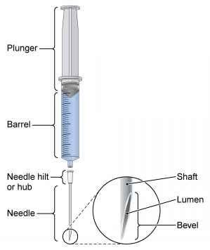 Parenteral Medication Flashcards Quizlet