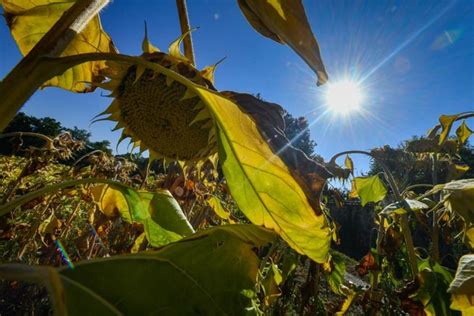 Une canicule exceptionnellement précoce annoncée en Espagne Paris 75000