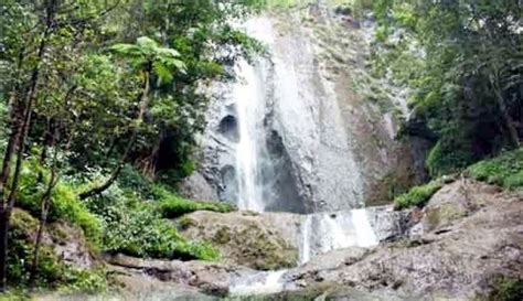 Air Terjun Dolo Keindahan Tersembunyi Di Tengah Hutan Gunung Besuki