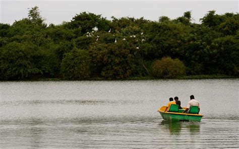 Madiwala Lake, Bangalore (2023) | Timings, Entry Fee, Bird Watching ...