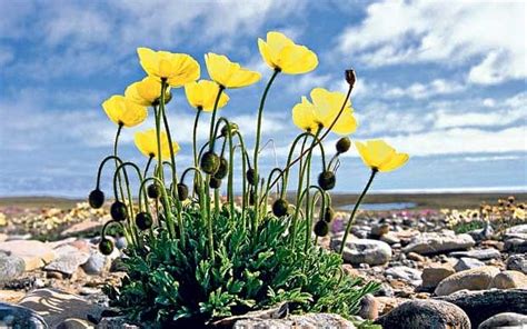 warm    cold climate