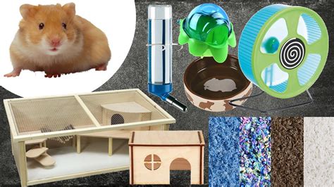 What To Buy For Hamster Everything You Need For A Hamster Youtube