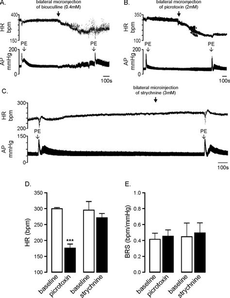 Role Of Ionotropic GABAA And Strychnine Sensitive Glycine Receptors In