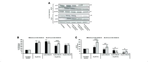 Effect Of Trichostatin A Tsa On The Acetylation Of Histone H And