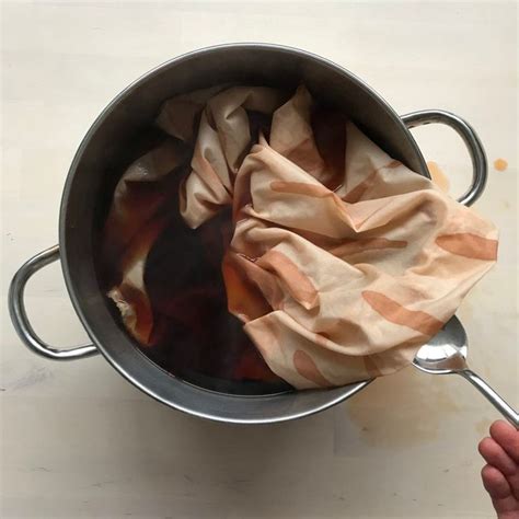 Painting With Milk Dyeing With Tea Rebecca Desnos How To Dye