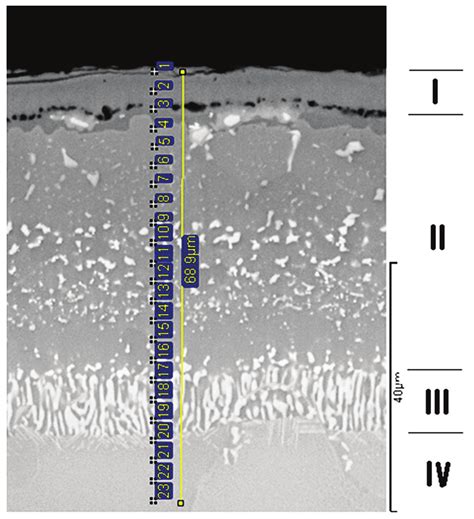 Microstructure of titanium-aluminum coatings on the NiCrCoTiAlWMo alloy ...