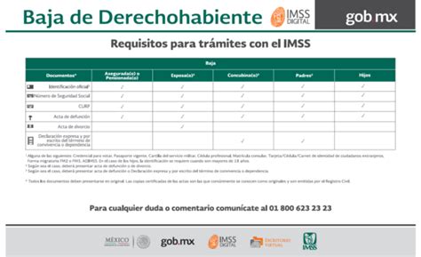 Tramite De Baja De Concubina Rio Como Derechohabiente En El IMSS