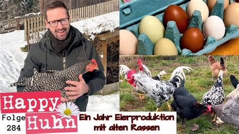 Ein Jahr Eierproduktion mit alten Hühnerrassen Ein Fazit HAPPY HUHN