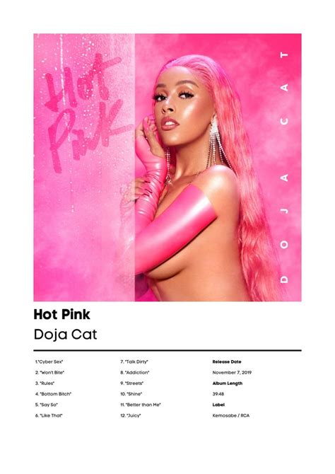 Iconic Album Covers Album Cover Art Doja Cat Cats Hot Song Great