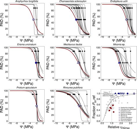 Reconciling Discrepancies In Measurements Of Vulnerability To Xylem Embolism With The Pneumatic