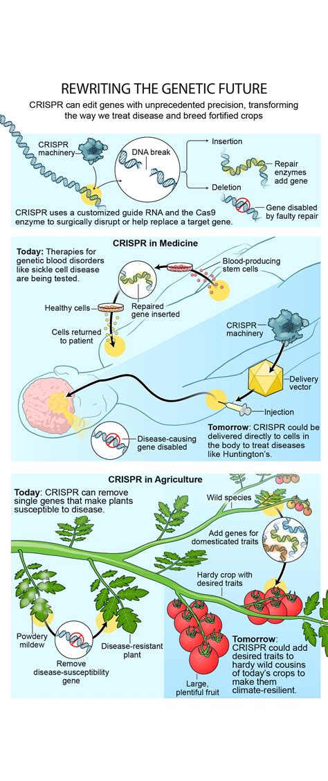 Next Gen Crispr And The Future Of Gene Editing Scientific American