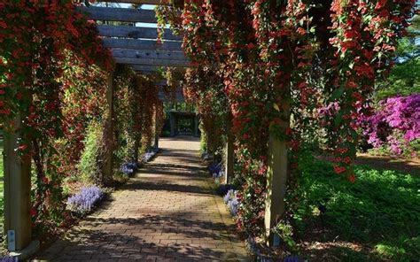 Garden Hours And Tickets Cape Fear Botanical Garden