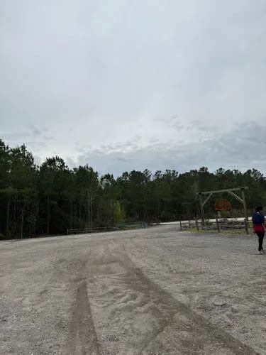 Best Forest Trails In Jacksonville Alltrails