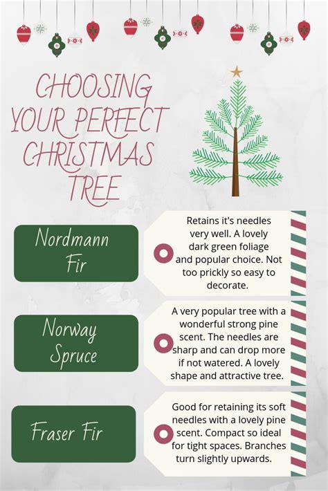 How To Choose Your Perfect Christmas Tree Ready My Blog Post For Tips