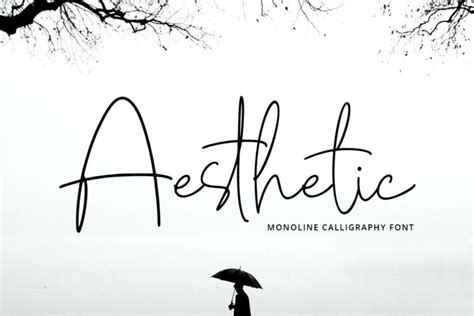 25+ Best Aesthetic Fonts for Elegant Designs - Theme Junkie