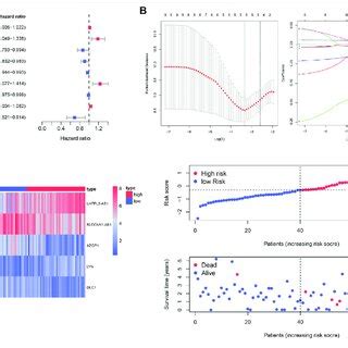 Identification Of The Prognostic Gene Signature For Uvm Patients In