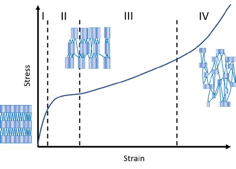 Schematic Representation Of The Evolution Of Uhmwpe Microstructure In