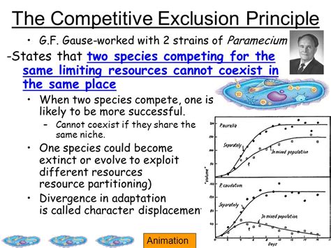 Competitive Exclusion Principle