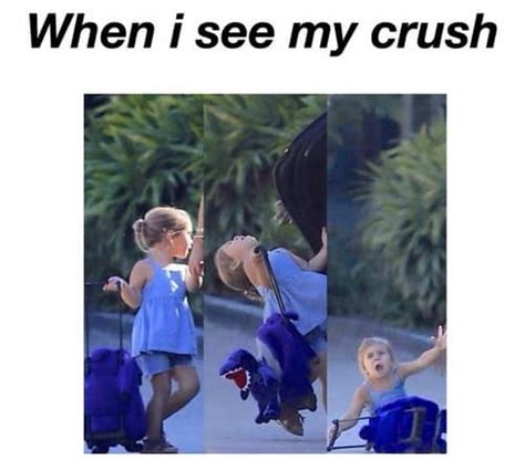 40 Funny Crush Memes You Probably Know Too Well