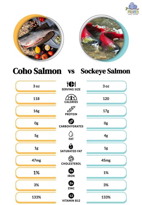 Coho Salmon vs. Sockeye Salmon: What's Tastier, Healthier, and Better for You?