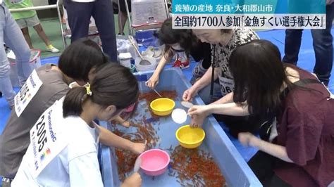 「全国金魚すくい選手権大会」約1700人が参加 養殖の産地、奈良・大和郡山市（日テレnews Nnn） Yahoo ニュース