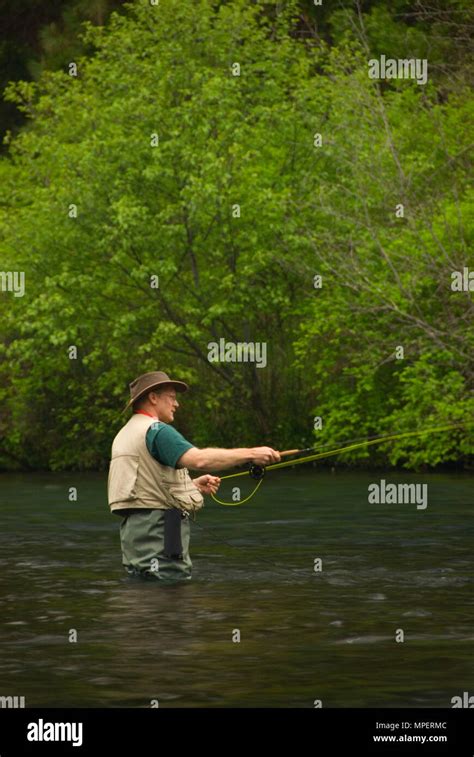 Fly Fishing Metolius Wild And Scenic River Deschutes National Forest