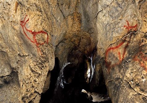 Cantabria Occidental Cueva De Covalanas Arte Paleol Tico