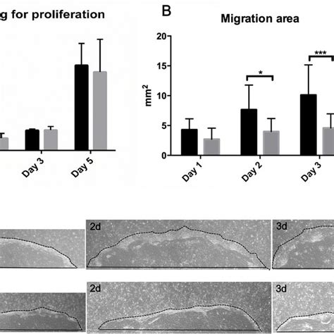 Cytokine Profiles Of The Oral Mucosal Epithelial Cells From