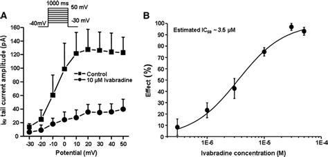 Effect Of Ivabradine On I Kr In Rabbit Ventricular Myocyte A N