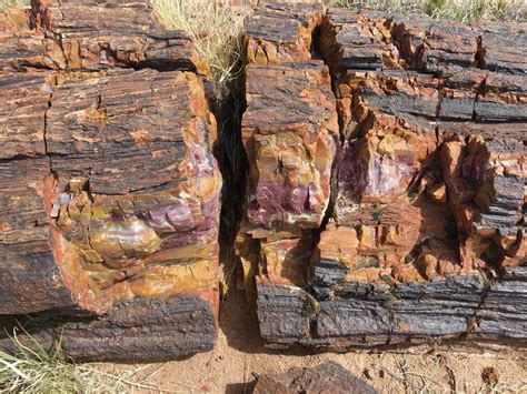 Visiting Petrified Forest National Park - Restless Curiosity