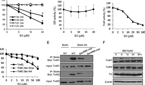 S3 Attenuates Trxr Activity By Specifically Binding The Selenocysteine Download Scientific