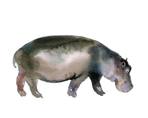 Hippo Original Watercolor Painting 10x8inch 2500 Via Etsy With