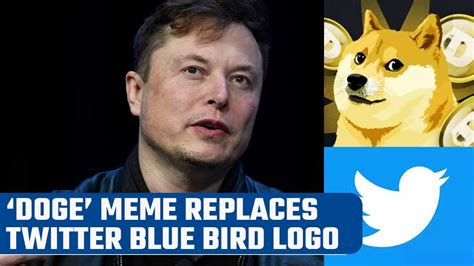 Elon Musk Replaces Twitters Blue Bird Logo With Doge Meme Oneindia