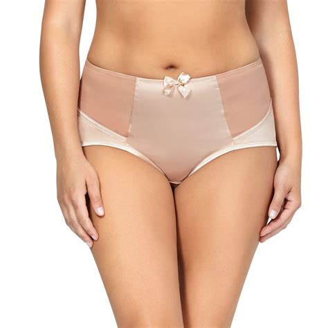 Women S Parfait Charlotte High Waist Brief Panty Size Small Med