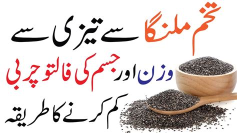 Tukh Malanga For Weight Loss Basil Seeds For Weight Looss Motapa