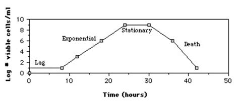 Growth curve of cell culture | Download Scientific Diagram