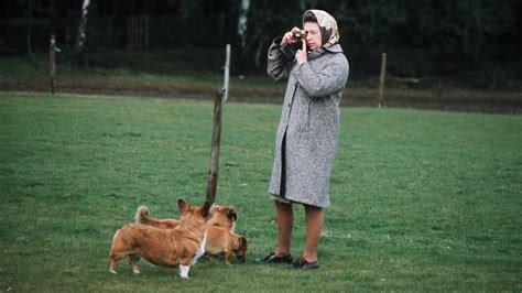 Royal Expert Says This Is What Will Happen To The Queen S Corgis