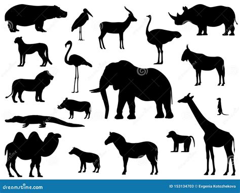 Set Silhouette Standing African Animals Stock Vector - Illustration of ...