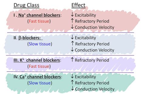 Antiarrhythmic Drugs Flashcards Quizlet